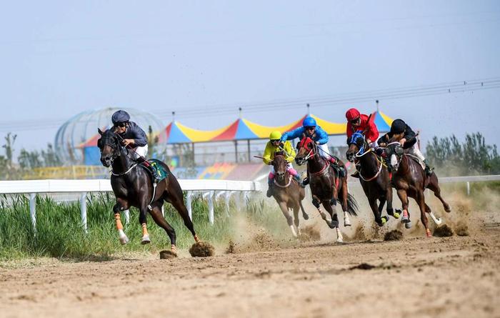 2024今晚香港開特馬,今晚香港開特馬，探尋賽馬文化的魅力與激情四溢的賽事之夜