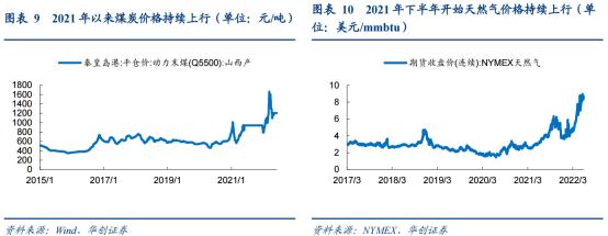 2024新澳門原料免費大全,澳門原料市場的新篇章，2024新澳門原料免費大全展望