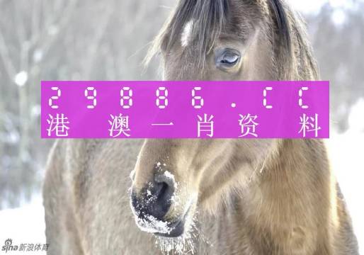 澳門平特一肖100%準(zhǔn)資點(diǎn)評(píng),澳門平特一肖，深度解析與精準(zhǔn)點(diǎn)評(píng)