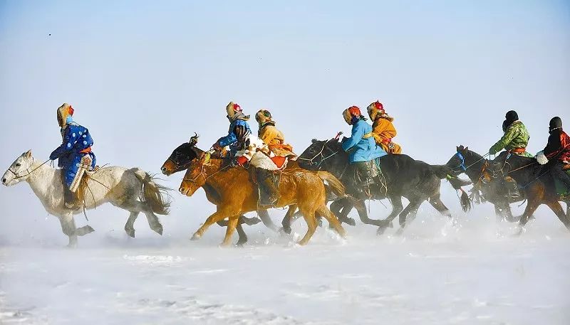 新澳今天開什么特馬,新澳今日賽馬盛況，探尋特馬的風(fēng)采