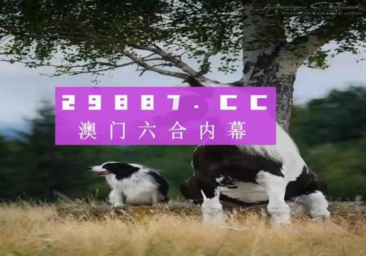 7777788888新版跑狗圖,探索新版跑狗圖，神秘的77777與88888的魅力世界