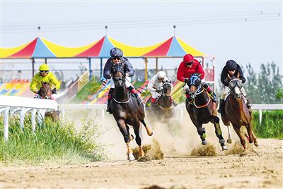 2024今晚香港開特馬,今晚香港開特馬，探索賽馬運動的魅力與未來展望