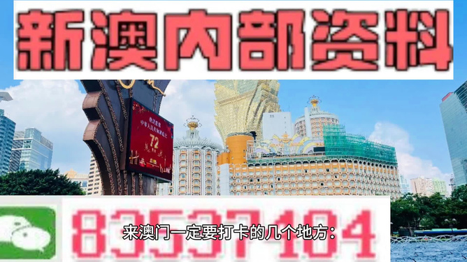 2024年新澳天天開彩最新資料,關(guān)于新澳天天開彩最新資料的探討與警示