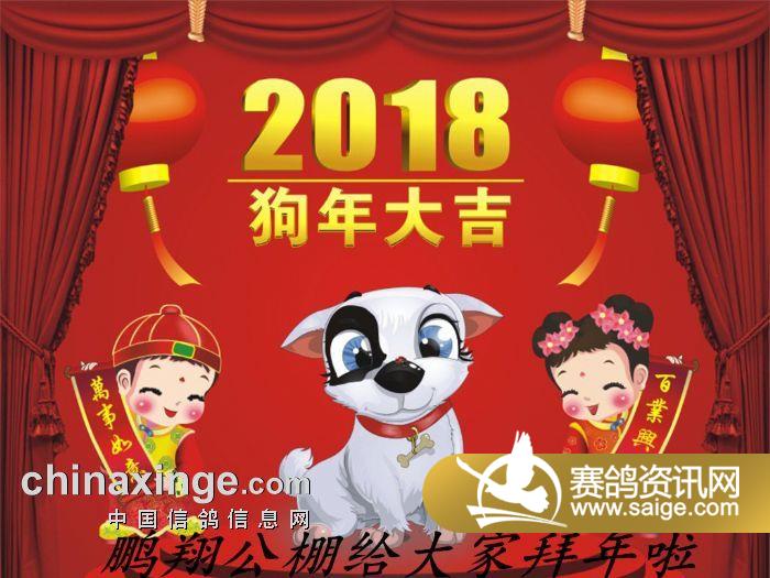 2024年天天開好彩大全,迎接好運的盛宴，2024年天天開好彩大全