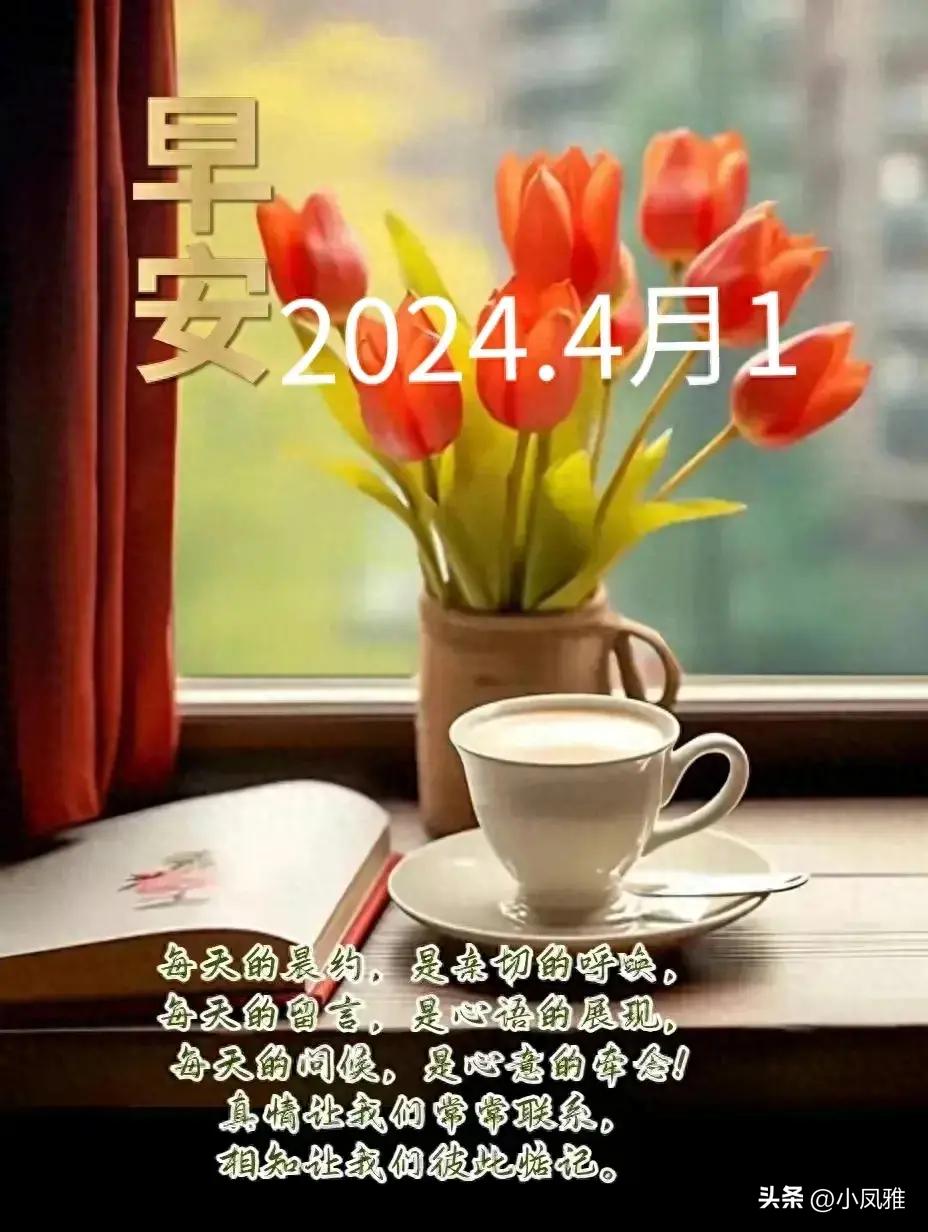 2024天天彩全年免費資料,探索2024天天彩全年免費資料的奧秘