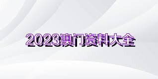 2024澳門資料大全正版資料,澳門資料大全正版資料，探索2024年澳門的無限魅力與機遇