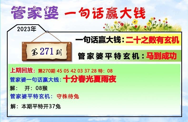 777788888管家婆必開一肖,揭秘管家婆必開一肖，神秘?cái)?shù)字背后的故事與策略