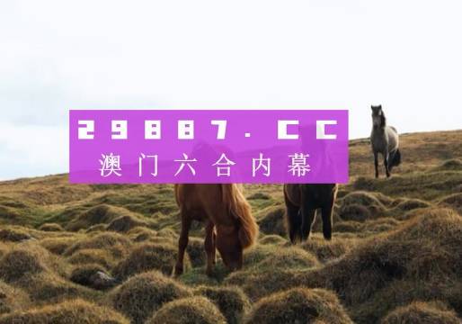 2024澳門特馬今晚開獎億彩網(wǎng),億彩網(wǎng)與澳門特馬今晚開獎的期待與探索