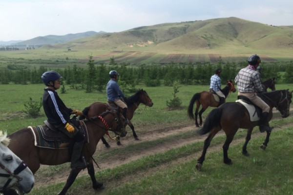 澳門今晚開特馬 開獎結(jié)果走勢圖,澳門今晚特馬開獎結(jié)果走勢圖分析