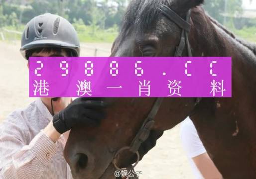 澳門最準(zhǔn)一肖一碼一碼公開,澳門最準(zhǔn)一肖一碼一碼公開，揭示背后的犯罪問題