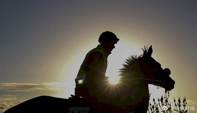 2024澳門特馬今晚開獎93,澳門特馬今晚開獎93，期待與驚喜的交融