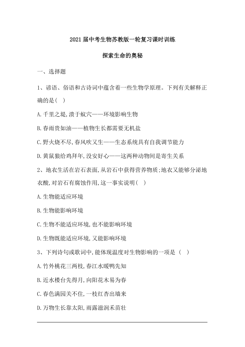 7777788888王中王中特,探究數(shù)字背后的神秘力量，王中王中特與數(shù)字7777788888的魅力