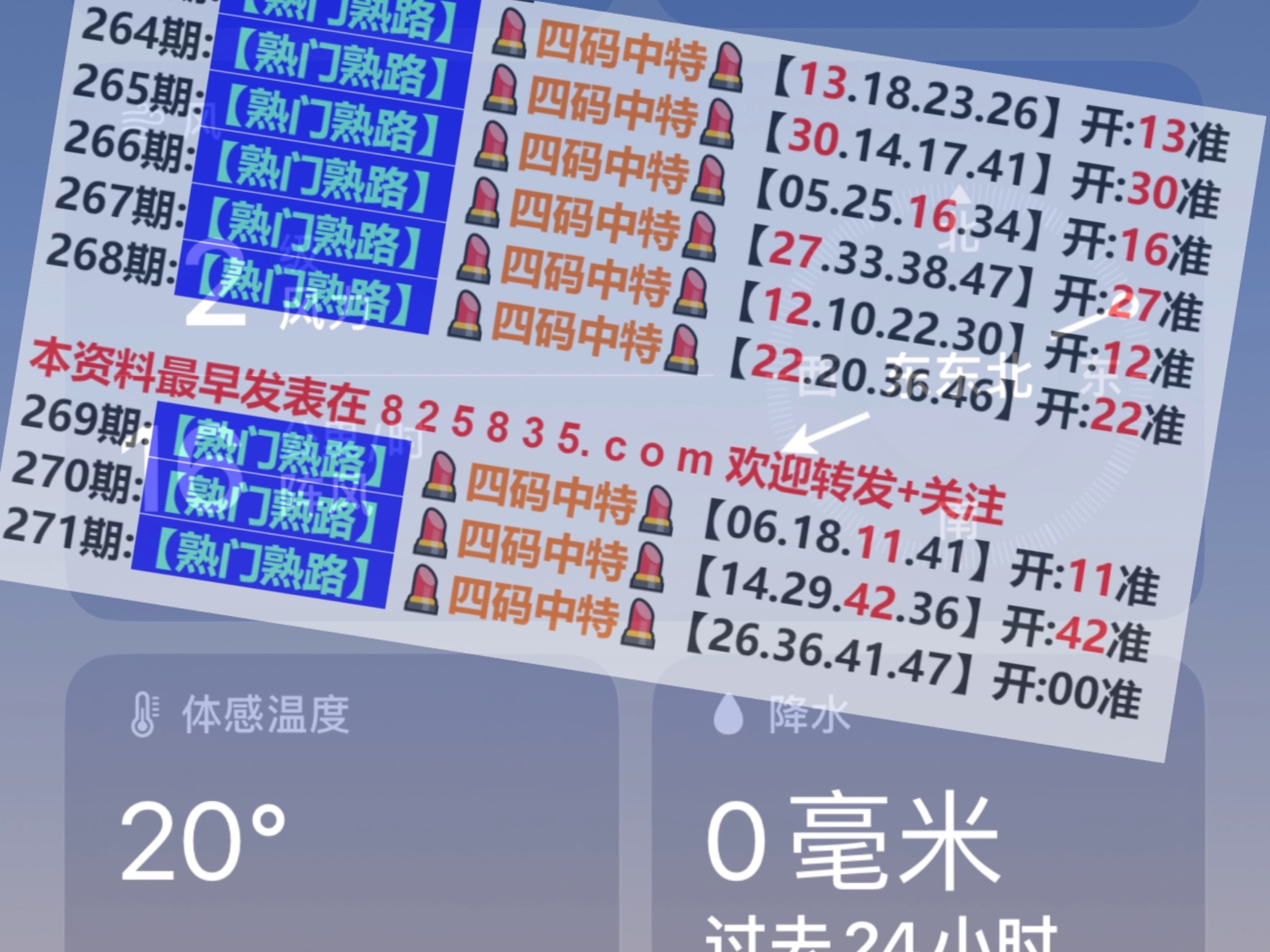 2024新奧門免費資料,探索新奧門，揭秘免費資料的秘密（2024年最新更新）