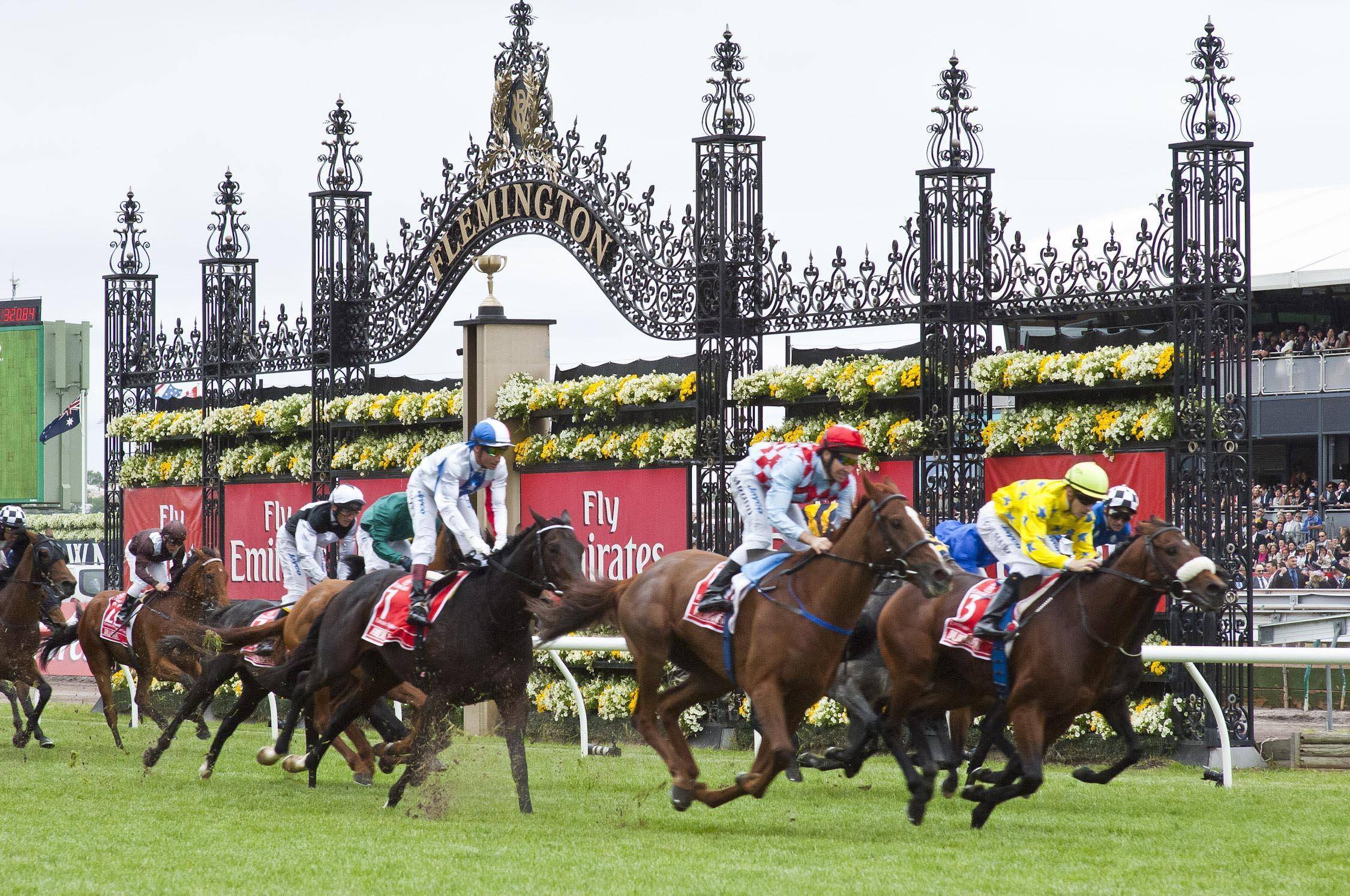 澳門六今晚開什么特馬,澳門六今晚開什么特馬，探索澳門賽馬文化