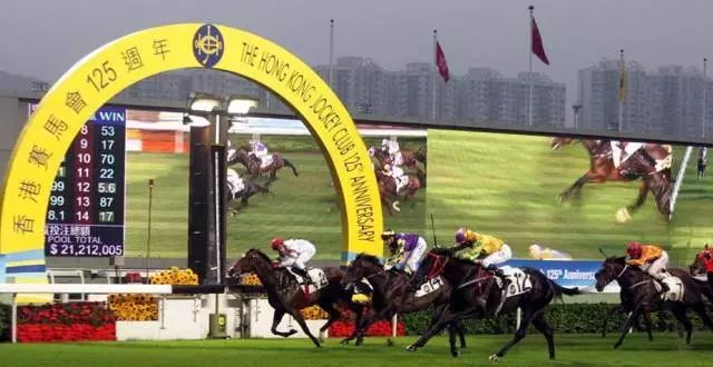 2024香港今晚開(kāi)特馬,2024年香港今晚特馬開(kāi)彩展望