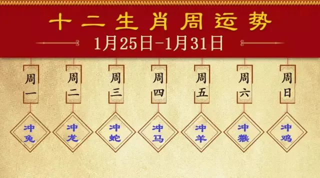 揭秘2024一肖一碼100準(zhǔn),揭秘2024一肖一碼，探尋真相與理性面對