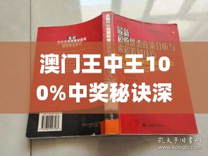 新澳門(mén)王中王100%期期中,新澳門(mén)王中王，揭秘期期中的秘密