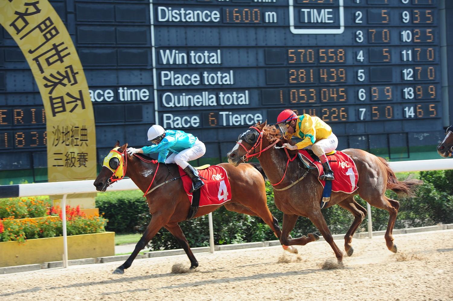 新澳今天開(kāi)什么特馬,新澳今日賽馬盛況，探尋特馬風(fēng)采