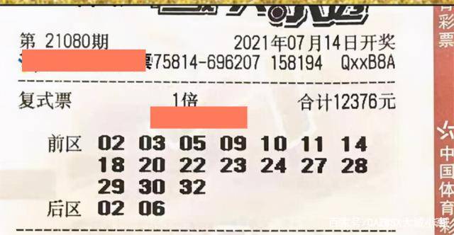 2024年新澳門免費(fèi)資料大樂(lè)透,揭秘2024年新澳門免費(fèi)資料大樂(lè)透，探索彩票新紀(jì)元