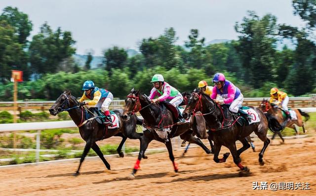 2024特馬今晚開獎(jiǎng),特馬今晚開獎(jiǎng)，期待與激情交織的時(shí)刻