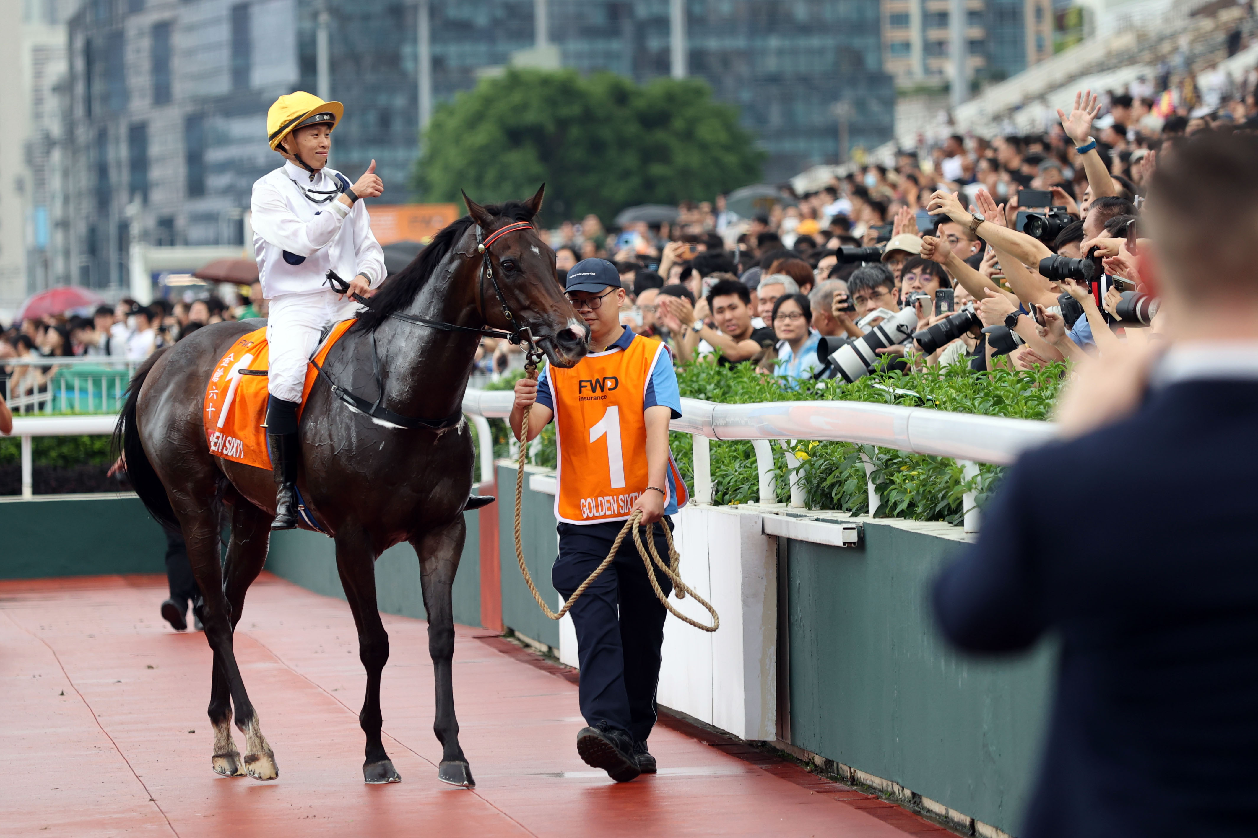 香港馬買(mǎi)馬網(wǎng)站www,香港馬買(mǎi)馬網(wǎng)站——探索賽馬文化的獨(dú)特魅力