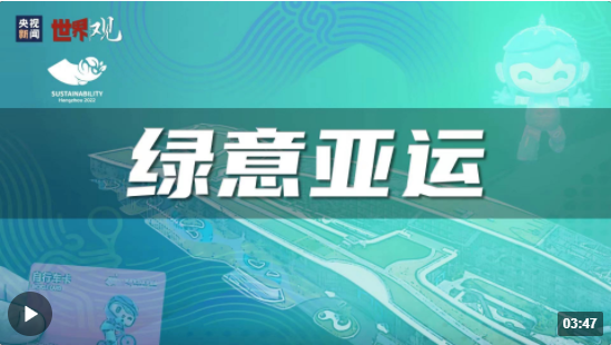 精準一肖一碼一子一中,精準預(yù)測，一肖一碼一子一中的奧秘