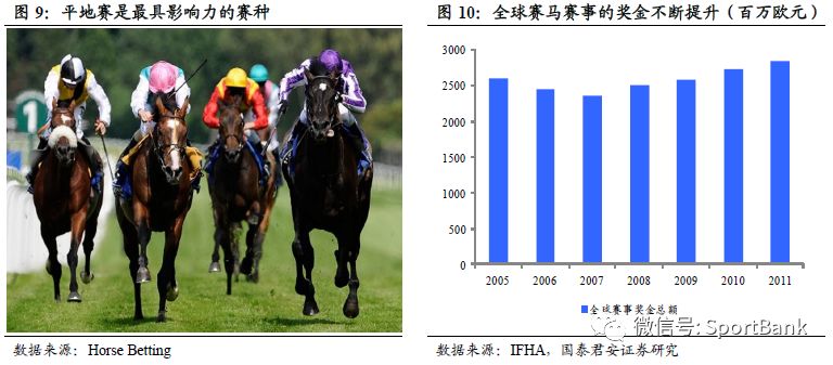 香港馬買馬網(wǎng)站www,香港馬買馬網(wǎng)站www——探索賽馬世界的門戶