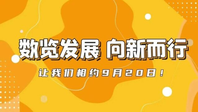 澳門一碼一肖一特一中管家婆,澳門一碼一肖一特一中管家婆，揭秘與探索