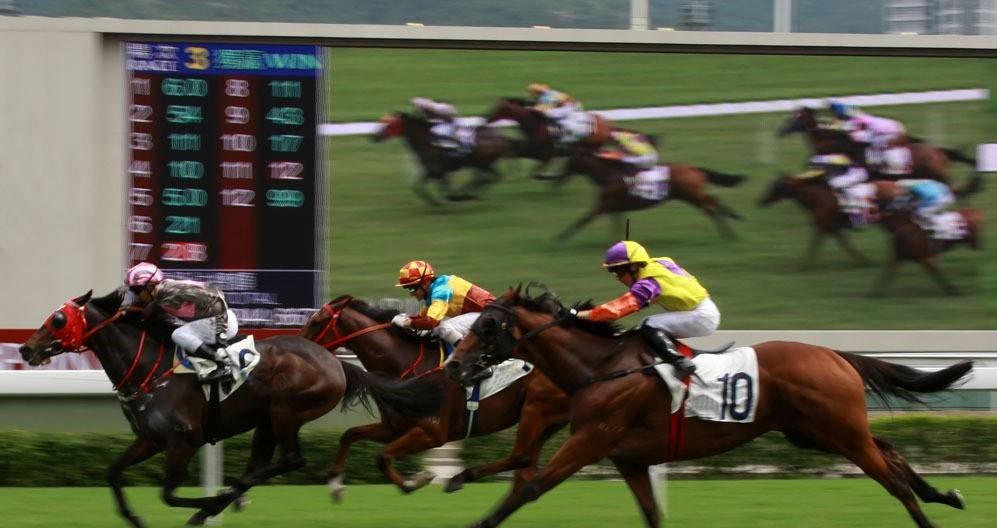 新澳今天開什么特馬,新澳今日賽馬揭曉，探尋賽馬運動的激情與魅力