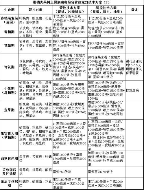 新澳精準(zhǔn)資料期期精準(zhǔn)24期使用方法,新澳精準(zhǔn)資料期期精準(zhǔn)24期使用方法詳解