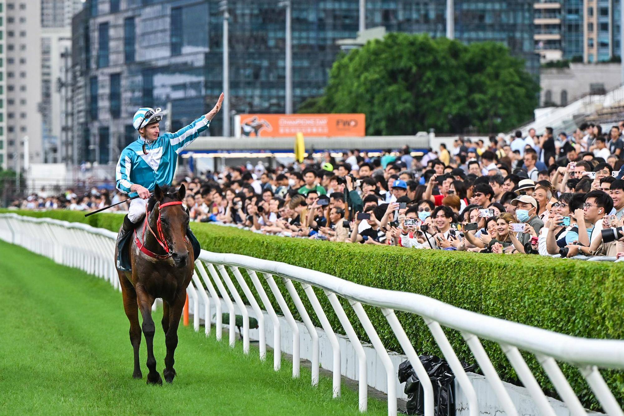 930香港馬精準(zhǔn)資料,香港賽馬，930賽事的精準(zhǔn)資料深度解析