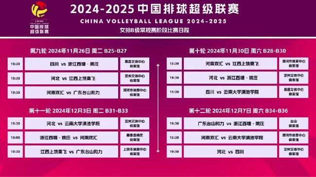 新澳資料大全正版2025,新澳資料大全正版2025，探索與前瞻