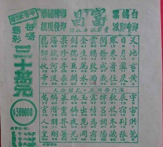 今晚必中一碼一肖澳門,今晚必中一碼一肖澳門，探索運(yùn)氣與策略的世界