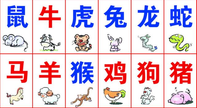 一碼一肖100%精準(zhǔn)生肖第六,一碼一肖，揭秘生肖第六的精準(zhǔn)魅力與奧秘