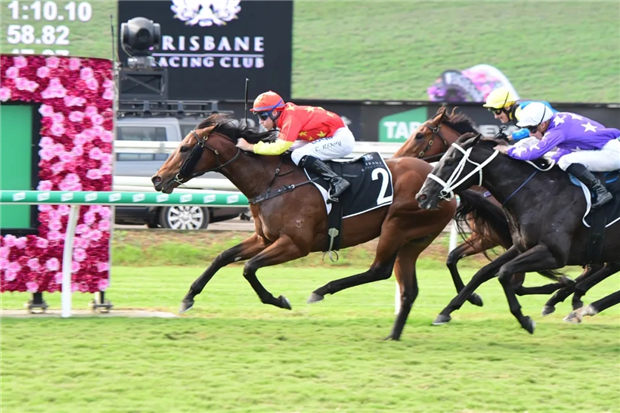 新澳今天開什么特馬,新澳今日特馬揭曉，探尋幸運之馬的神秘面紗