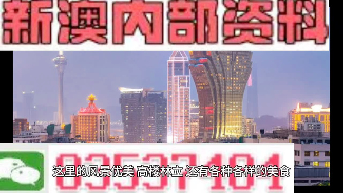 2025新澳最精準(zhǔn)資料,探索未來(lái)，2025新澳最精準(zhǔn)資料解析