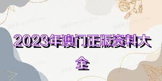 2023澳門正版全年免費(fèi)資料,澳門正版全年免費(fèi)資料，探索2023年的無限可能