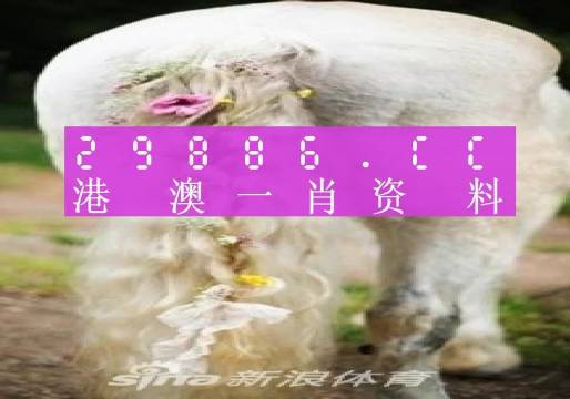 今晚一肖一碼澳門一肖四不像,今晚一肖一碼澳門一肖四不像，探索與解析