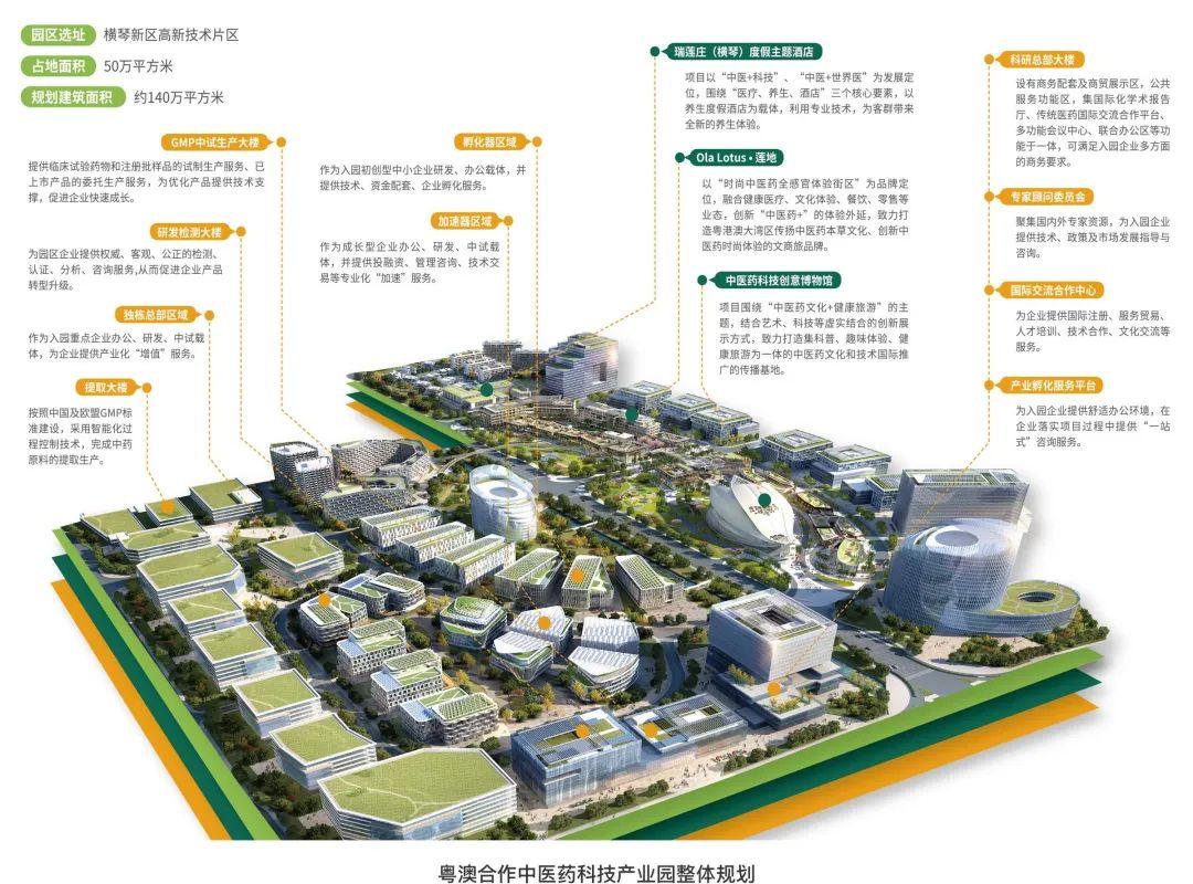 新澳門2025免費(fèi)瓷料大全,新澳門2025免費(fèi)瓷料大全——探索與賞析