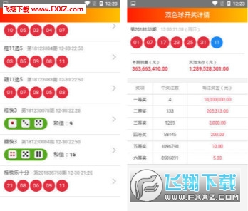 2025澳門王中王100%期期中,探索澳門王中王彩票游戲，期期中的奧秘與未來展望