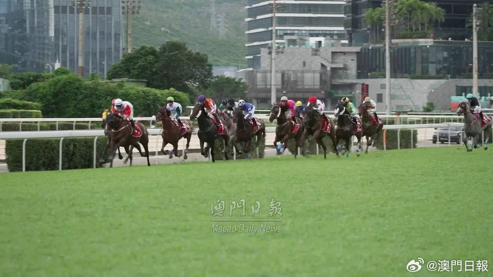 今晚澳門馬出什么特馬,今晚澳門馬會出什么樣的特馬？探索賽馬世界的神秘面紗