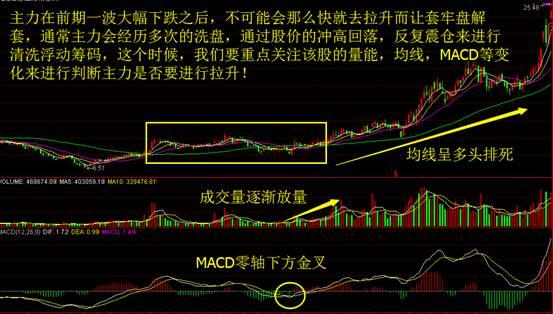 管家婆三肖一碼一定中特,揭秘管家婆三肖一碼一定中特，真相與風險并存