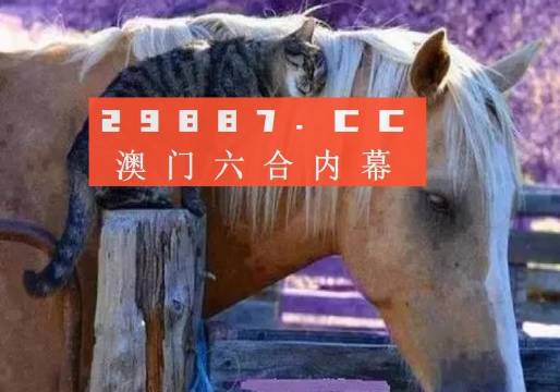 奧門全年資料免費(fèi)大全一,澳門全年資料免費(fèi)大全一，深度解讀與探索