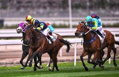 2025今晚香港開特馬,今晚香港開特馬，探索賽馬運動的魅力與未來展望