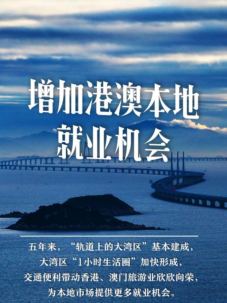 新澳門精準(zhǔn)的資料大全,新澳門精準(zhǔn)的資料大全，探索與解讀