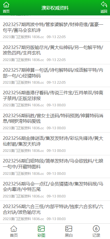 新澳門資料大全正版資料2023,新澳門資料大全正版資料2023，探索與解讀