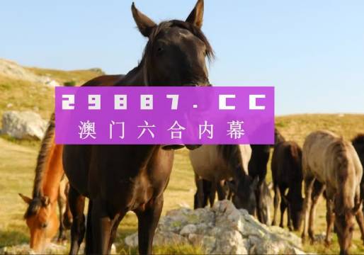 澳門最準(zhǔn)一肖一碼,澳門最準(zhǔn)一肖一碼，探尋背后的秘密與真相