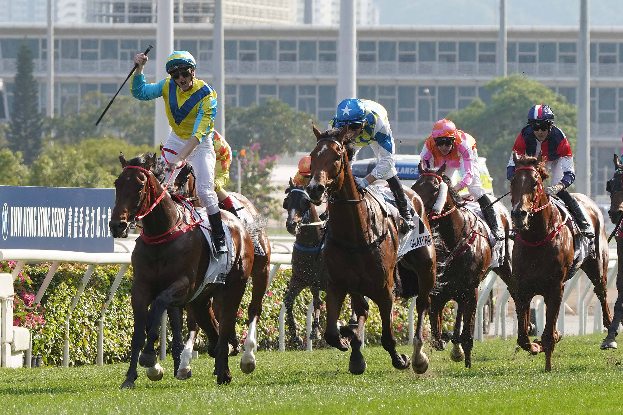 新澳今天開什么特馬,新澳今日賽馬結(jié)果揭秘，探尋特馬的勝利之路