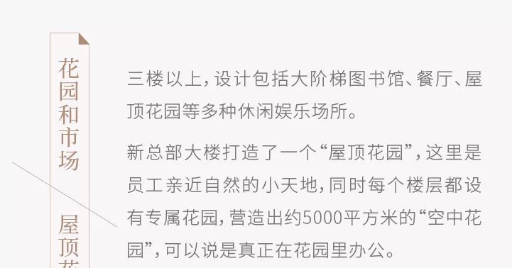 新澳門(mén)王中王100%期期中,新澳門(mén)王中王期期中的奧秘與探索，揭秘彩票背后的秘密