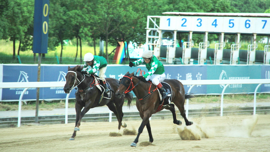 澳門六今晚開什么特馬,澳門六今晚開什么特馬，探索澳門賽馬文化